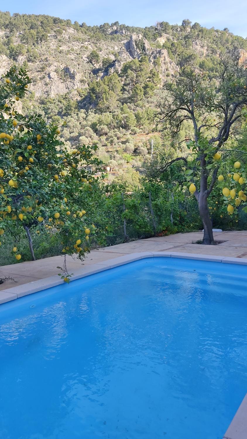 Garden, Swimming pool