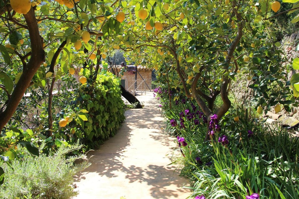 Natural landscape, Hiking, Garden view