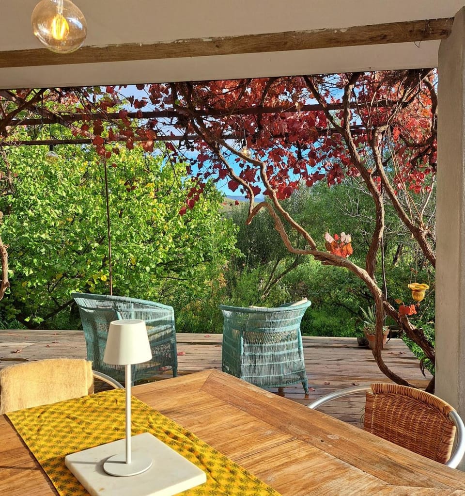 Porcupine Hills Olive and Guest Farm House in Western Cape