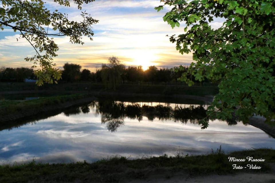Lake view
