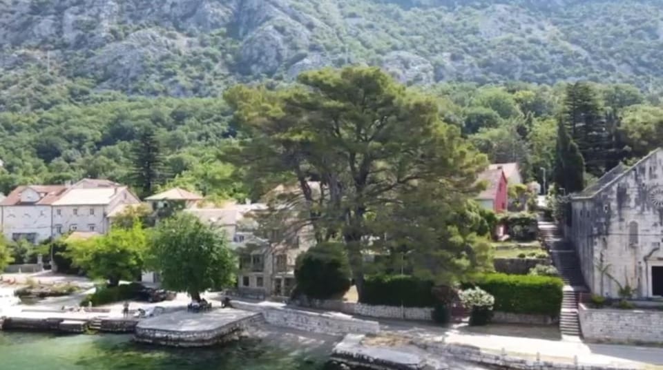 lovely apartment on the sea shore, with a view and free Wi-Fi Apartment in Dobrota