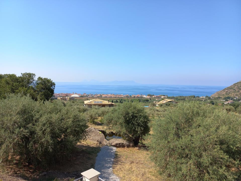 Natural landscape