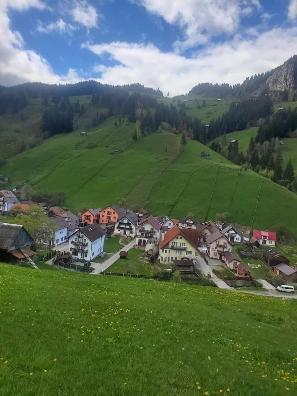 Pensiunea Sorina Casa Alba Bed and Breakfast in Brașov County