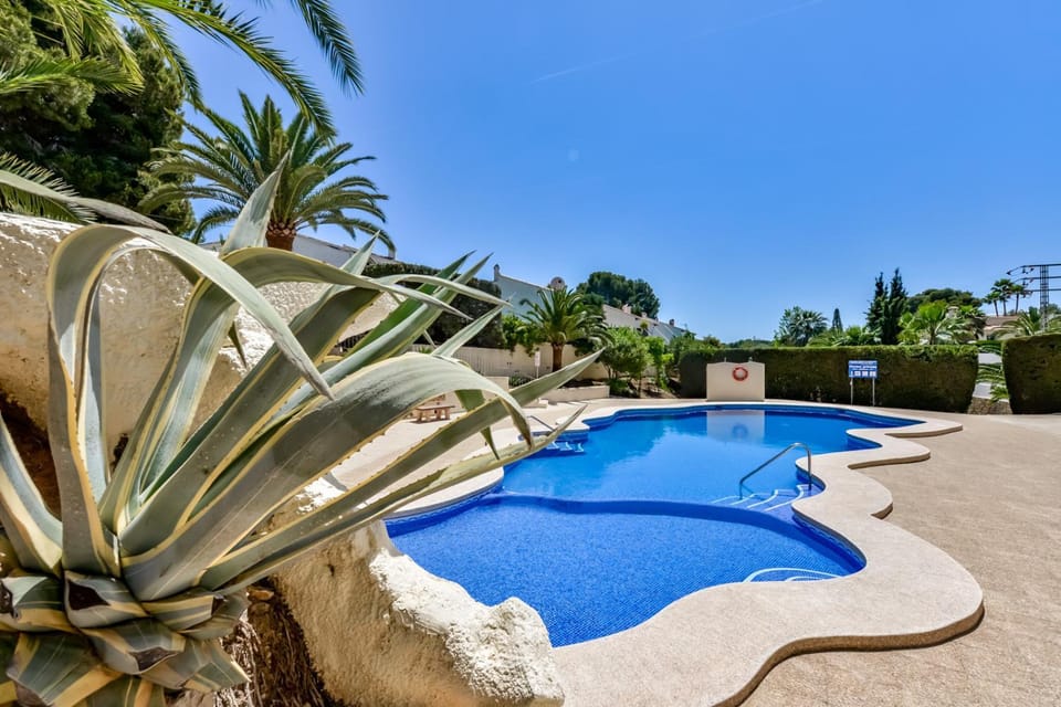 Patio, Garden, Garden view