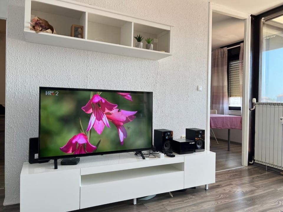 TV and multimedia