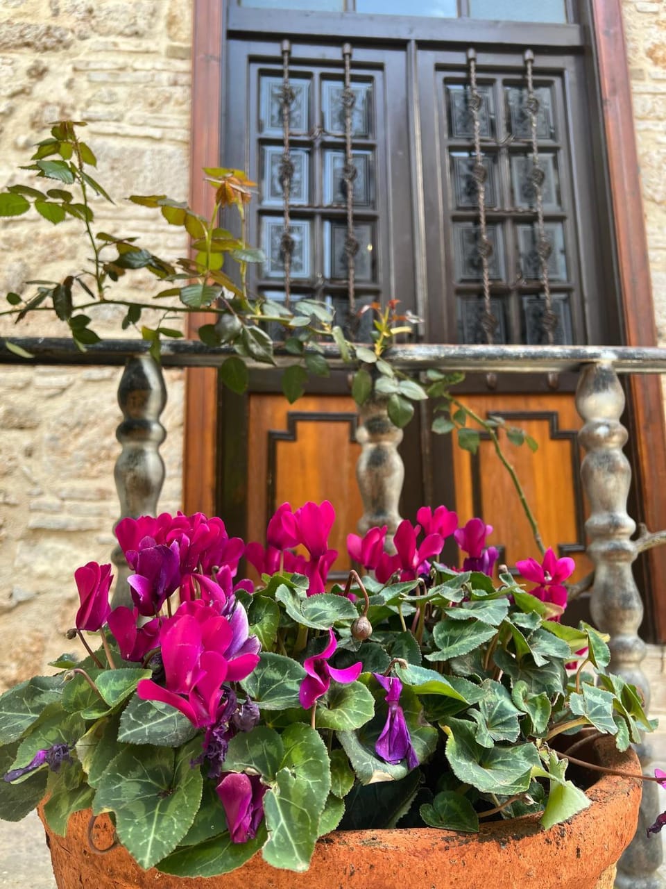 Property building, Garden, On site