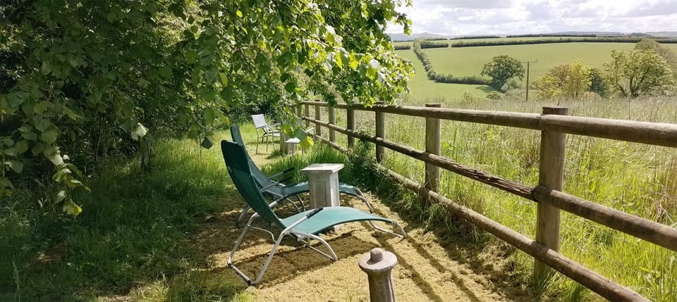 Natural landscape, Garden, sunbed