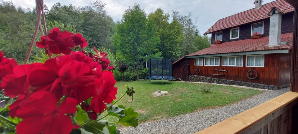 Property building, Garden, Garden view