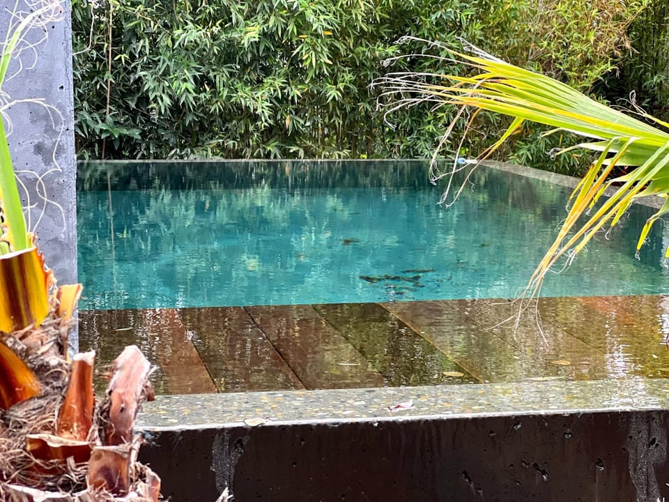 Natural landscape, Garden, Garden view, Pool view, Swimming pool, Swimming pool