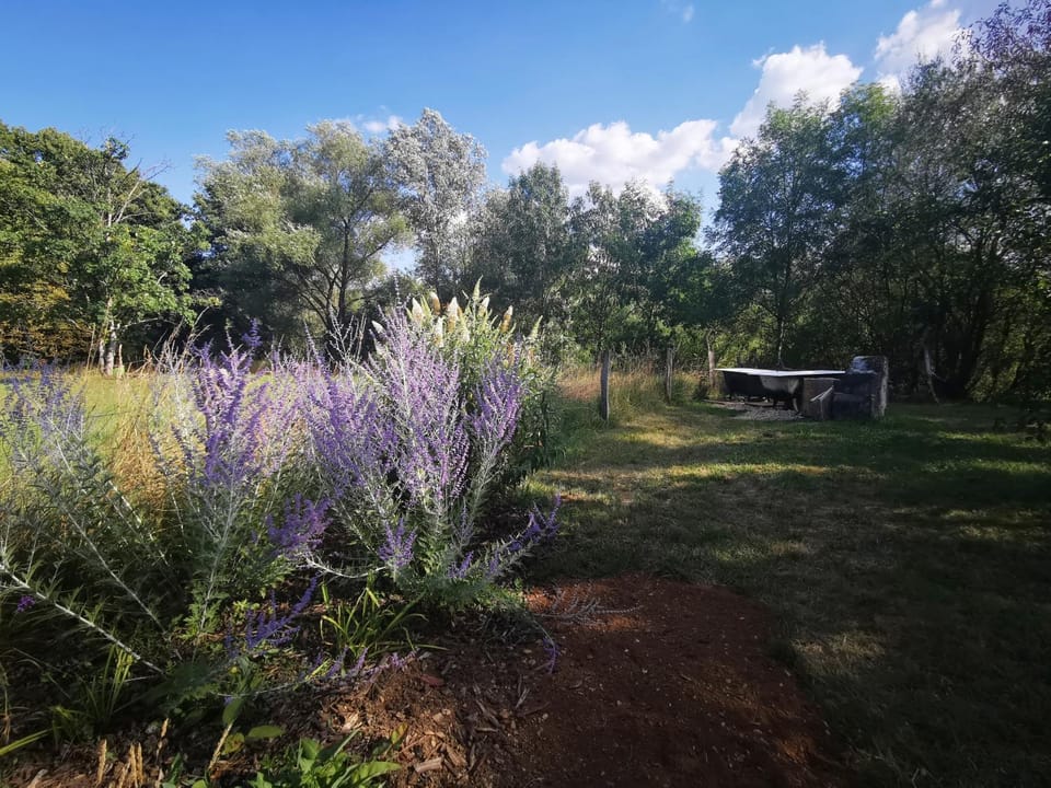 Le Moulin de Villiers Bed and Breakfast in Grand Est