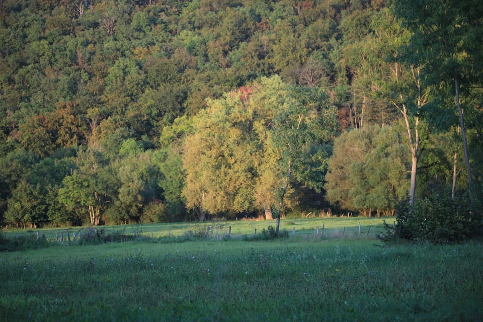 Le Moulin de Villiers Bed and Breakfast in Grand Est