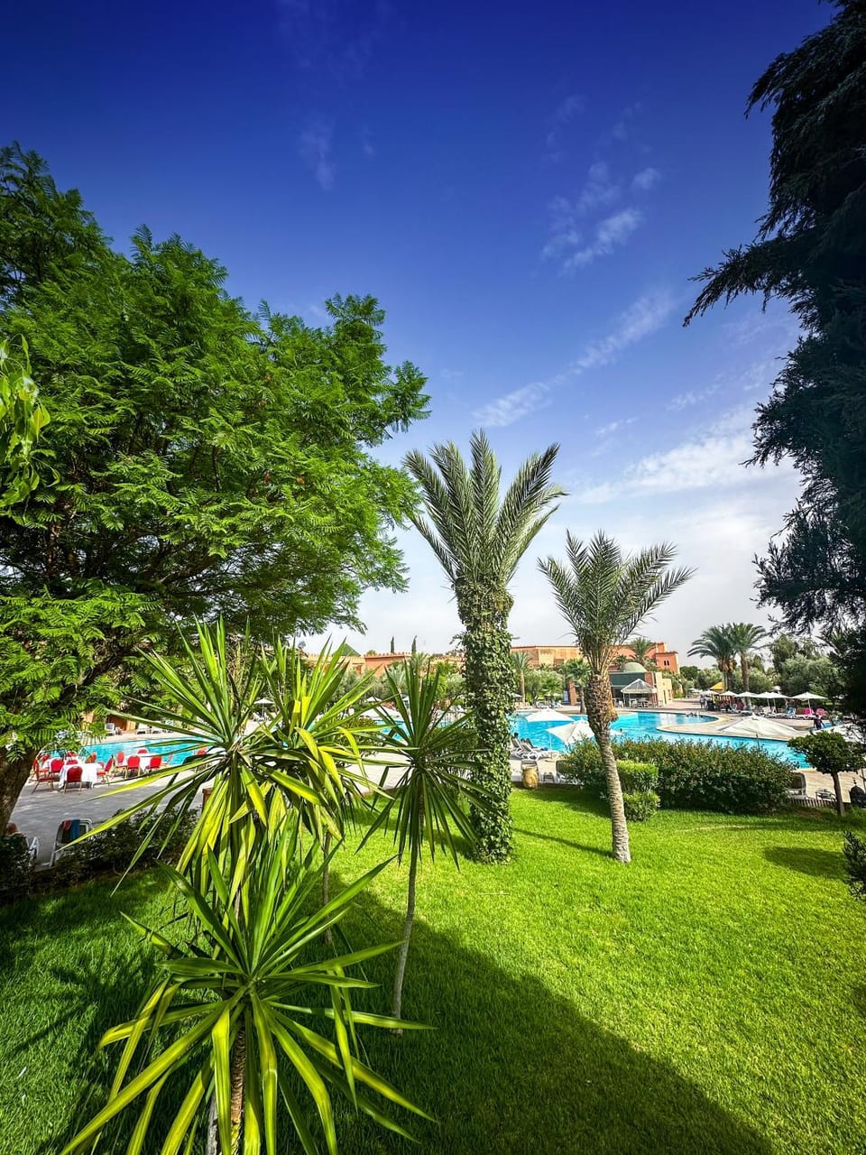 Garden, Swimming pool