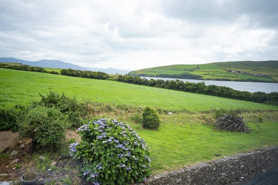 Natural landscape, Garden, View (from property/room), Garden view