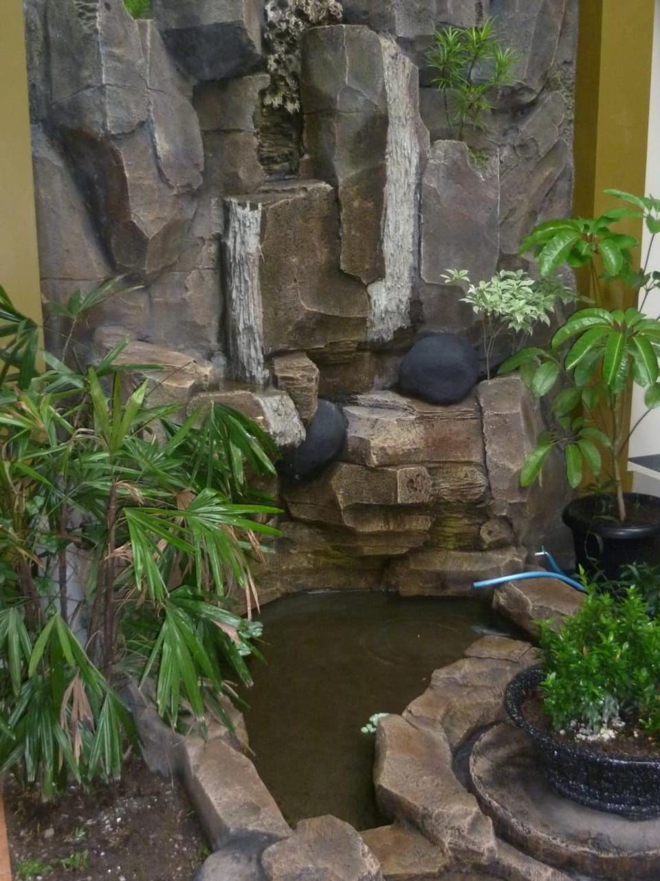 Natural landscape