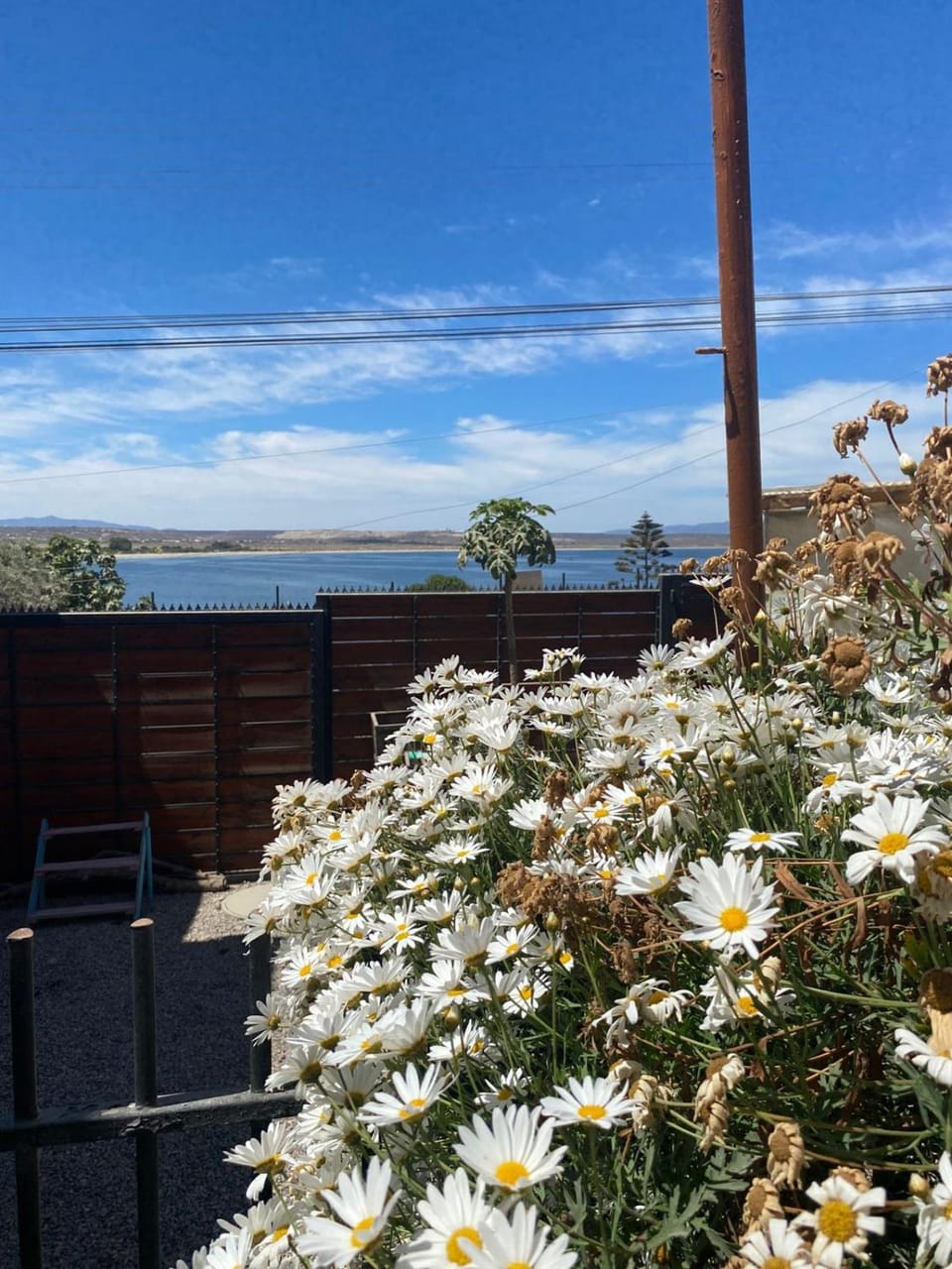 Garden, Sea view