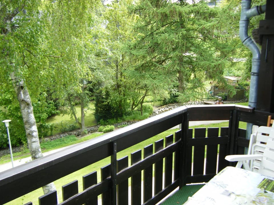 Wietheger's Ferienwohnungen Apartment in Willingen