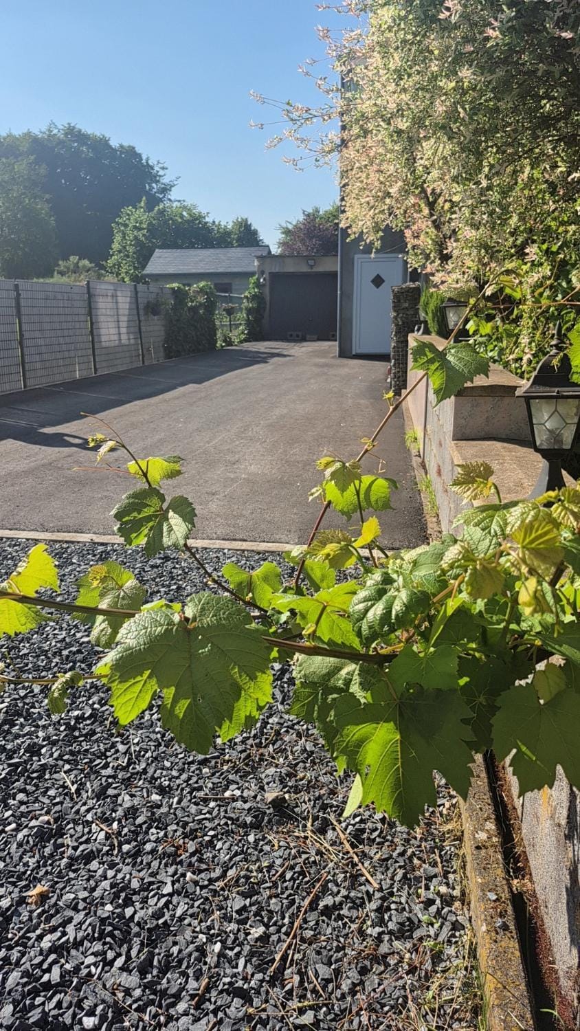 Nazareth logement Un Magnifique logement de vacances House in Wallonia, Belgium