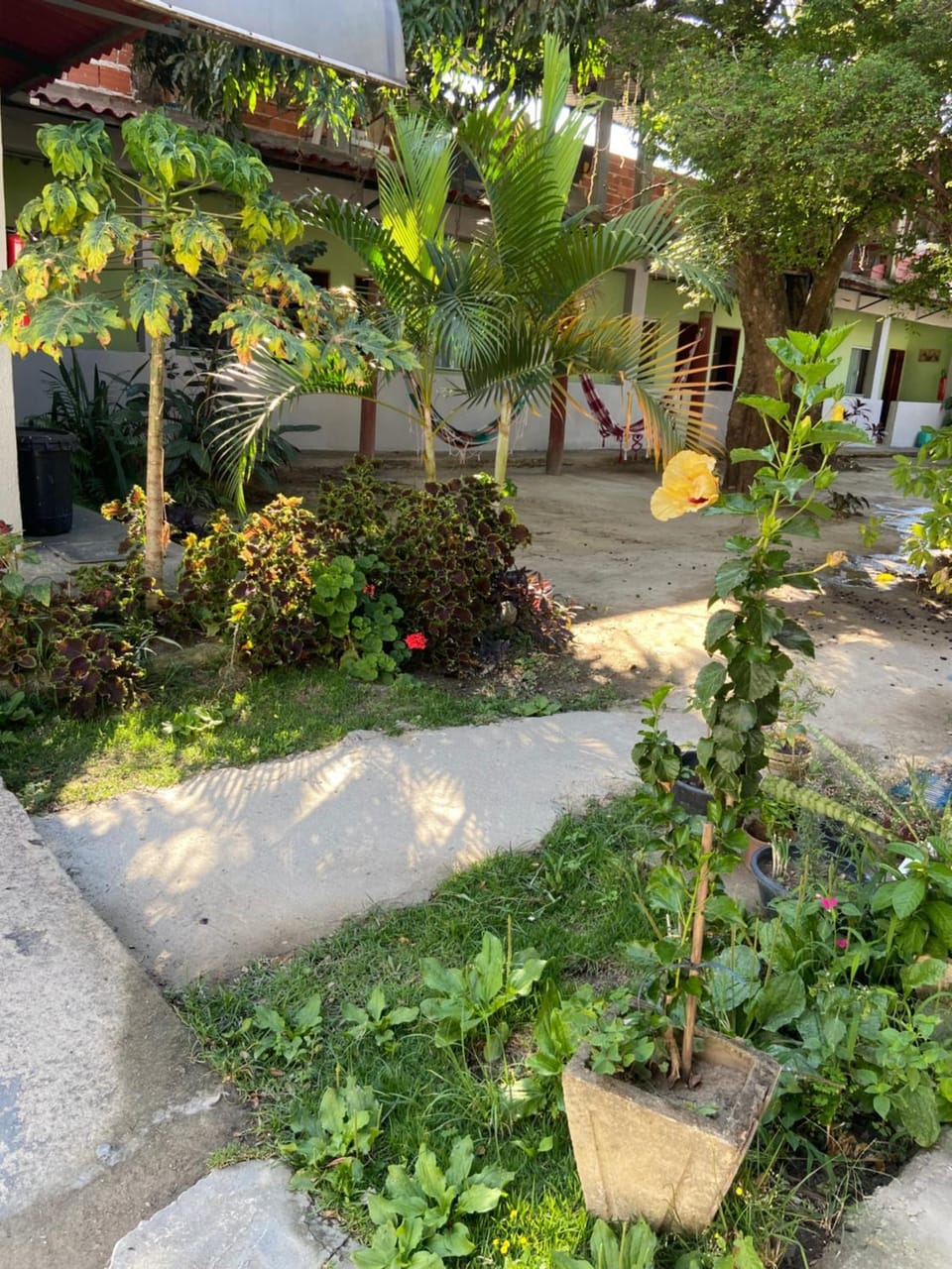 Pousada Tropical Bed and Breakfast in State of São Paulo