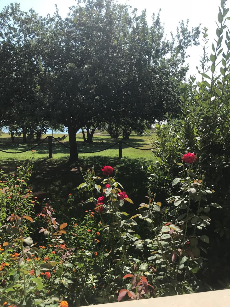 Residence Scopa Marina Apartment in Poggio-Mezzana