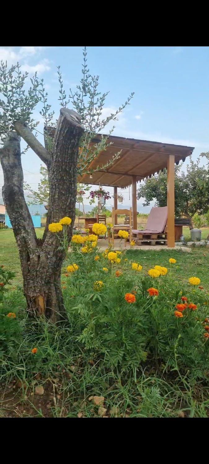 Ballkan B&B 1 Bed and Breakfast in Montenegro