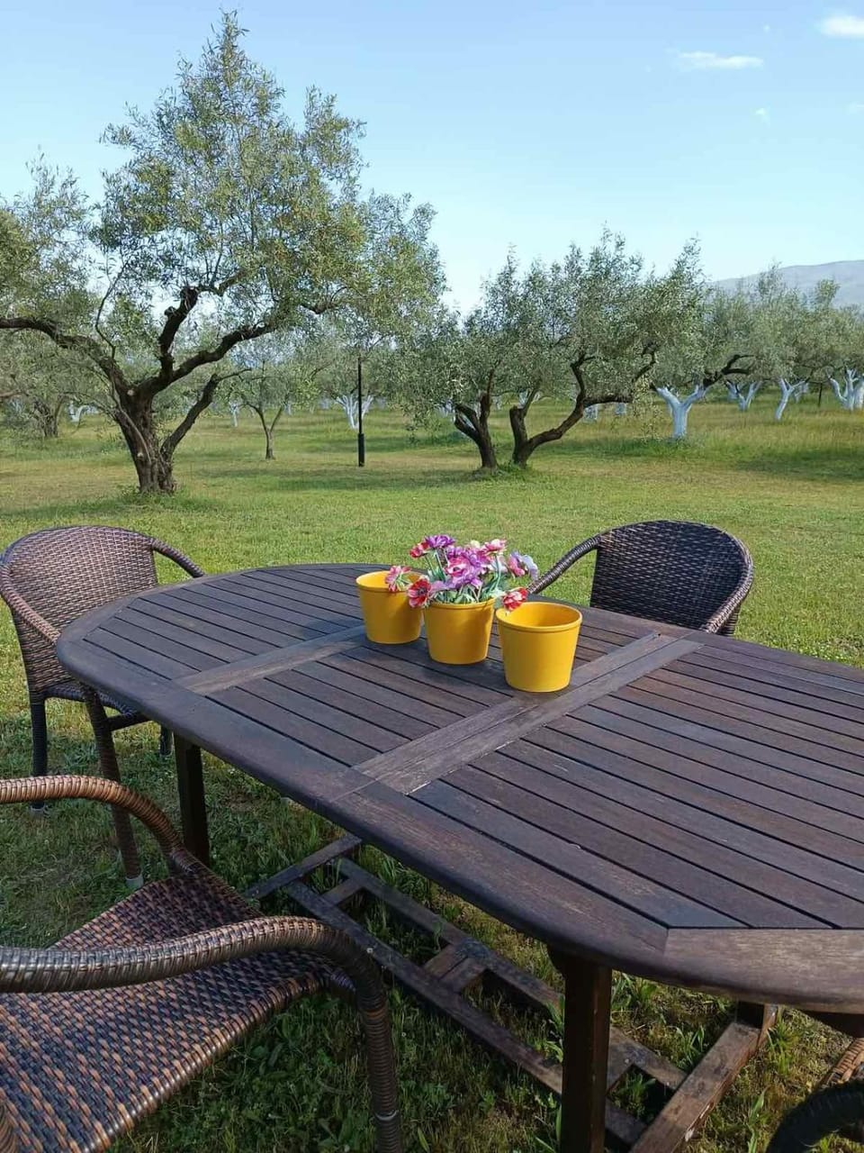 Zeusplace Olympus Olive Country House 1 ground floor House in Pieria, Greece