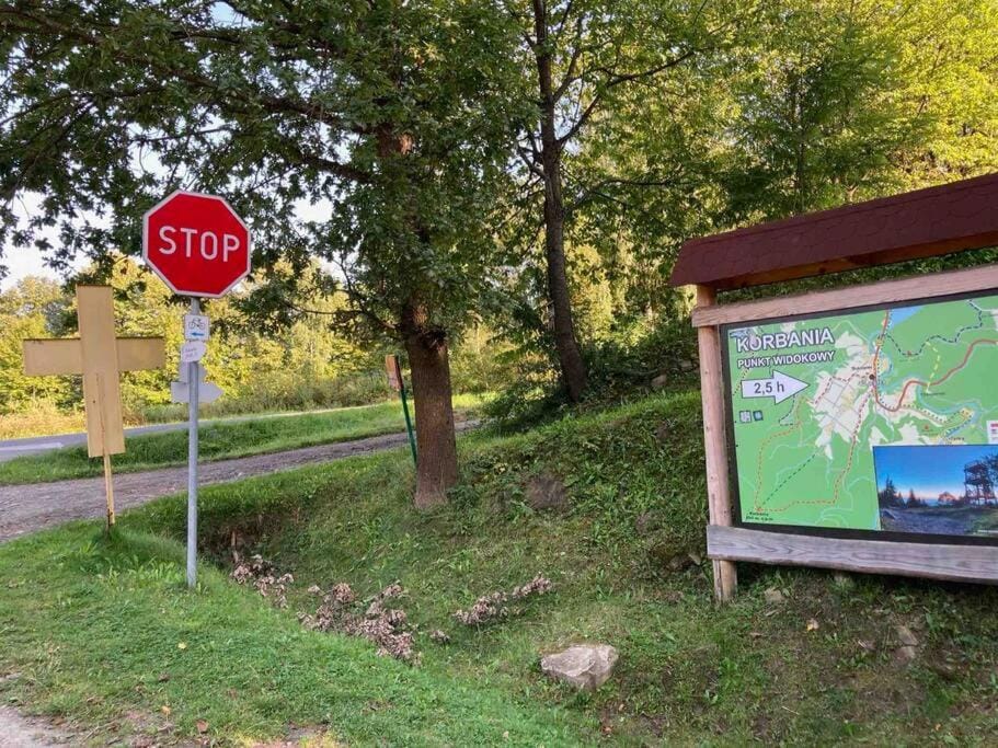 Spring, Natural landscape, Street view