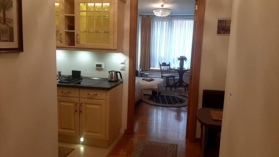 Kitchen or kitchenette, Dining area, stove