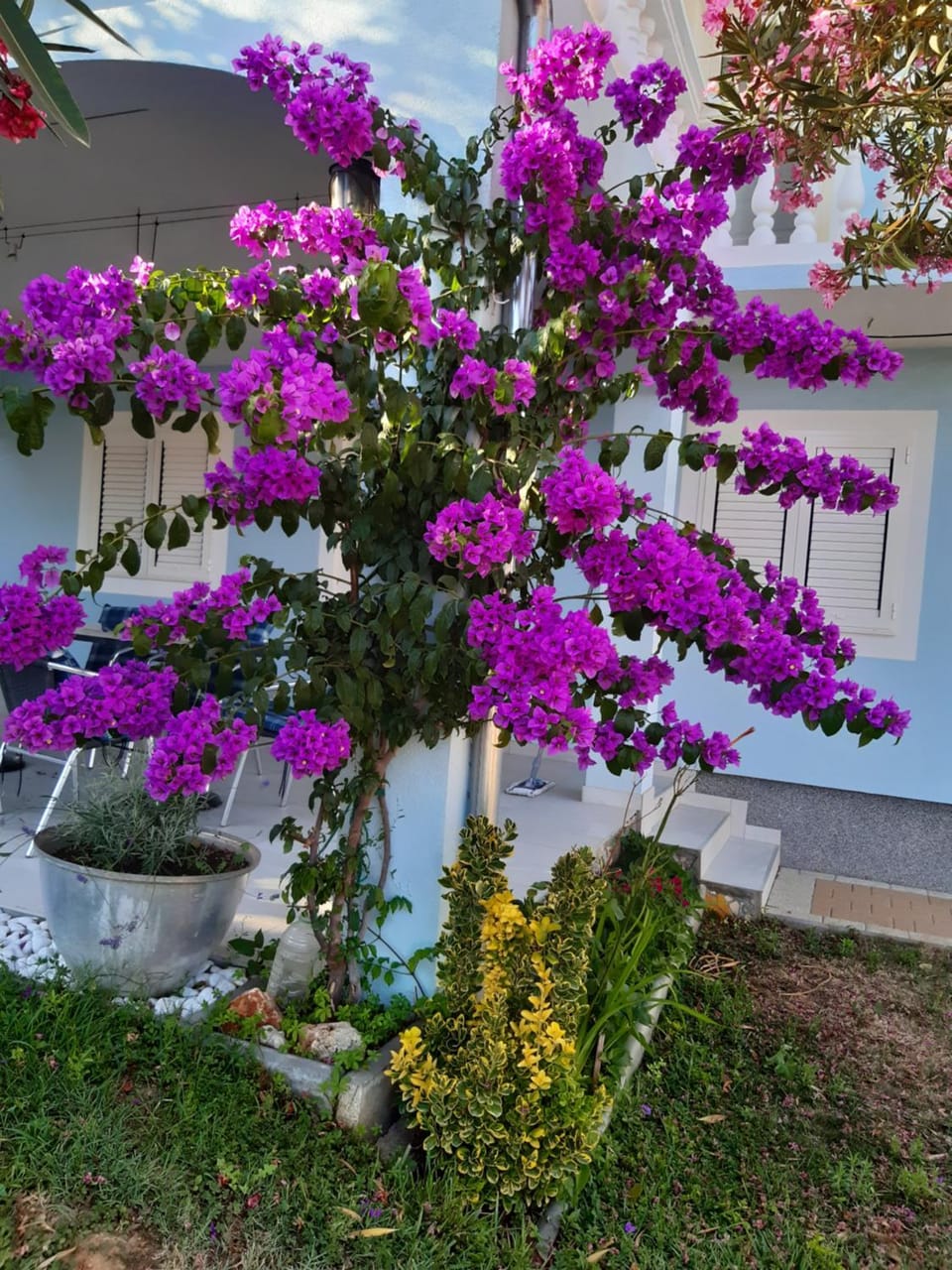 Spring, Day, Garden