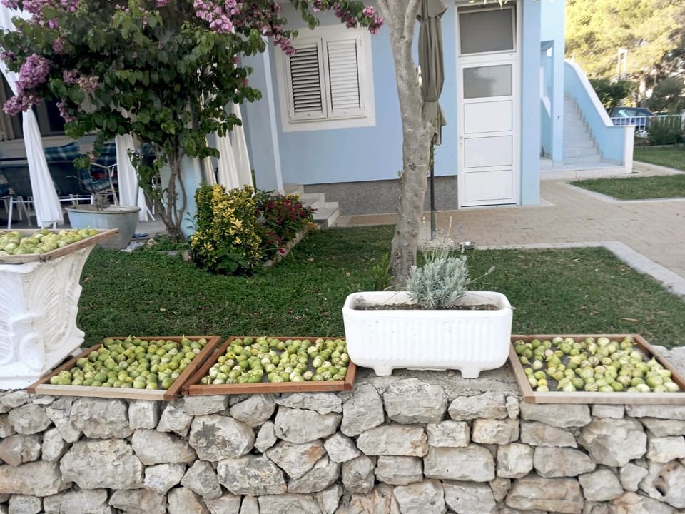 Garden, Garden view