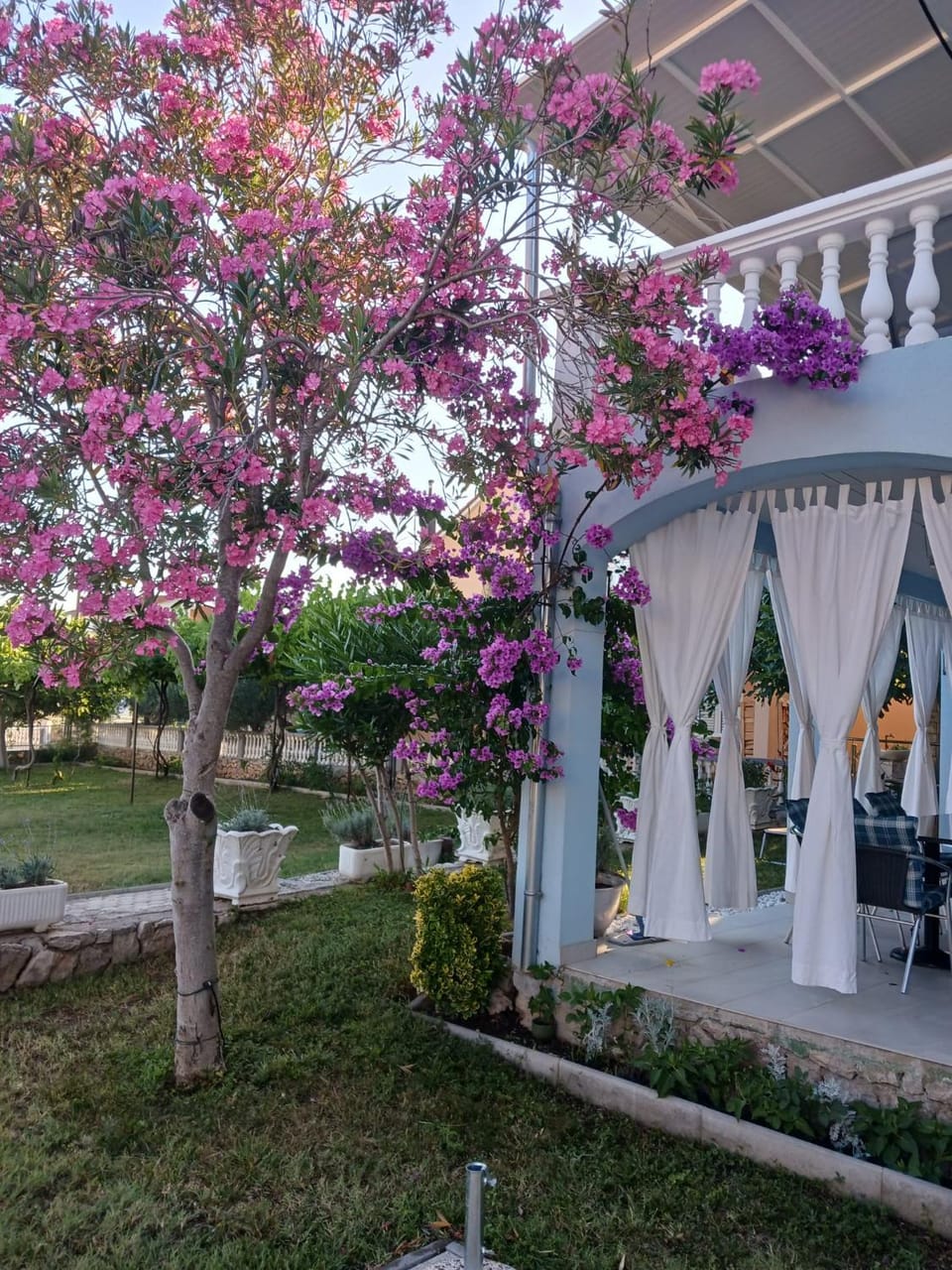 Property building, Patio, Day, Garden
