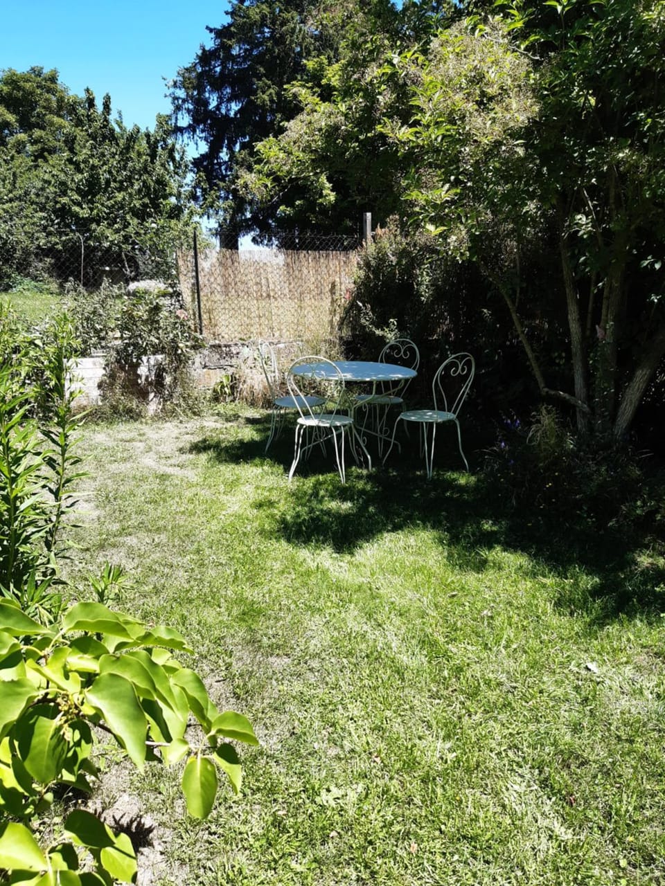 Natural landscape, Garden, Dining area, Garden view