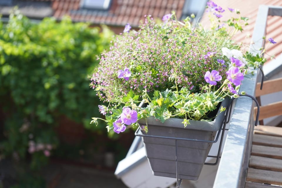 Patio, Balcony/Terrace