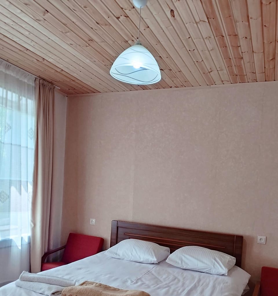 Guest House Arsha Apartment in Georgia