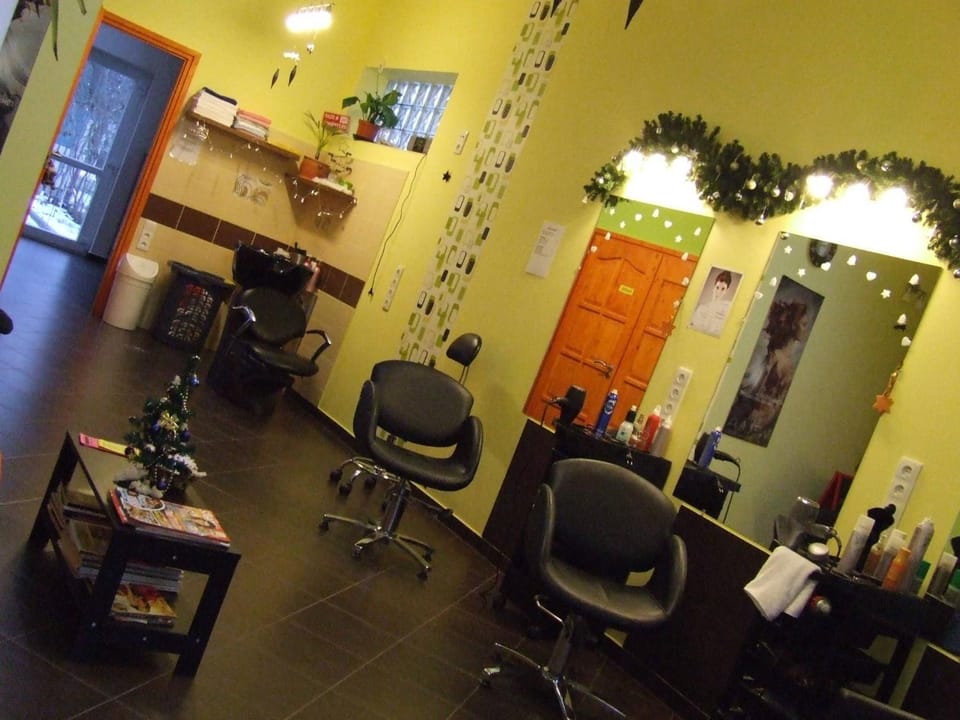 Other, hair dresser