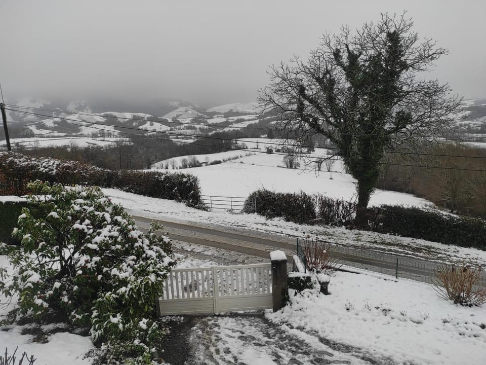 Winter