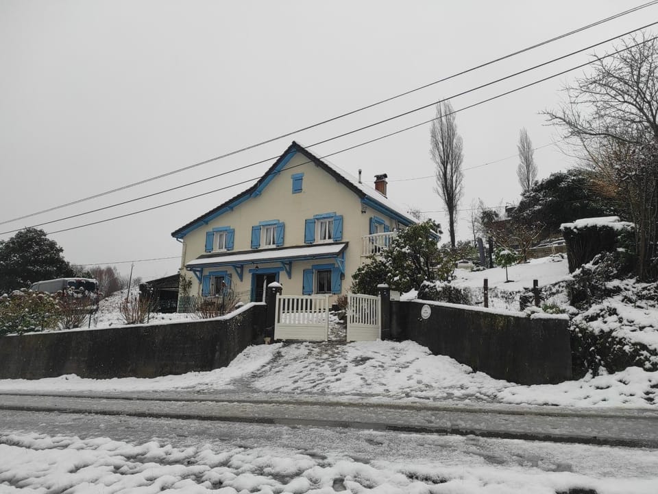 Winter
