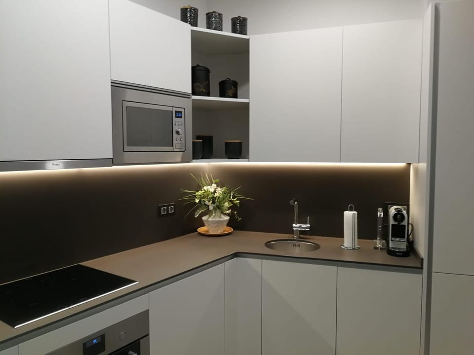 Kitchen or kitchenette, dishwasher