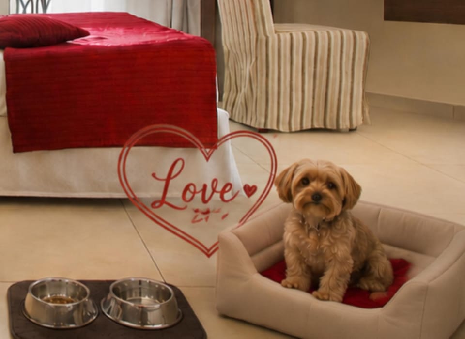 Bedroom, Pets
