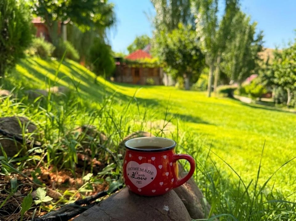 Caravanà Resort Chalet in Armenia