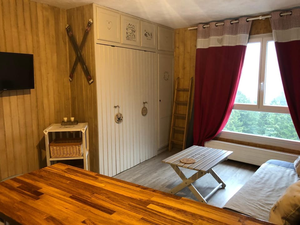 studio tout confort au pied des pistes du lioran Apartment in Auvergne-Rhône-Alpes