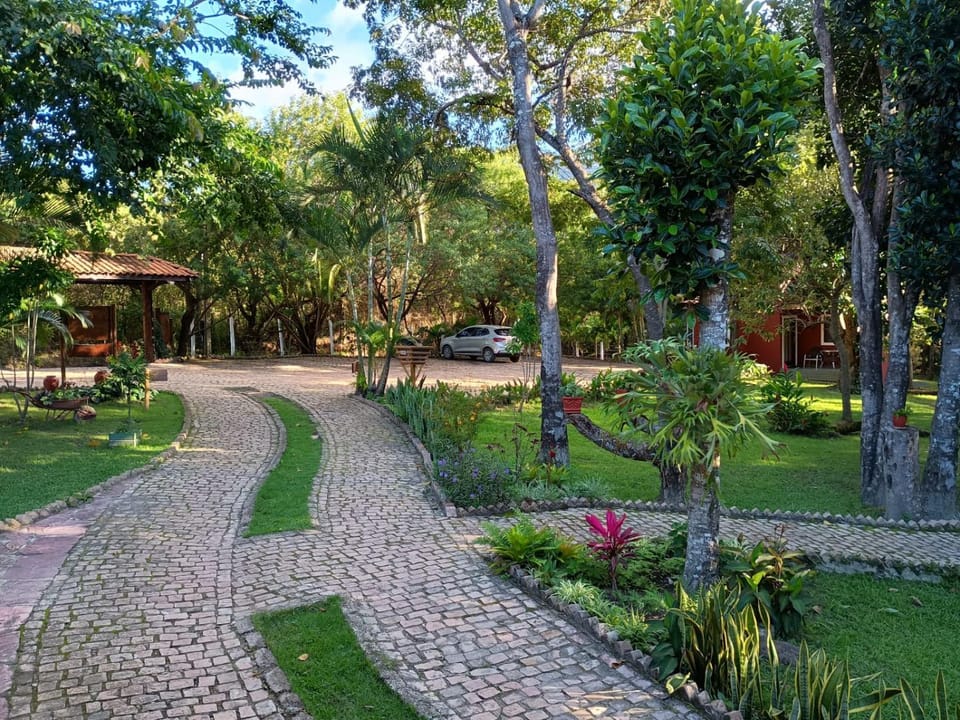Natural landscape, Garden, Garden view
