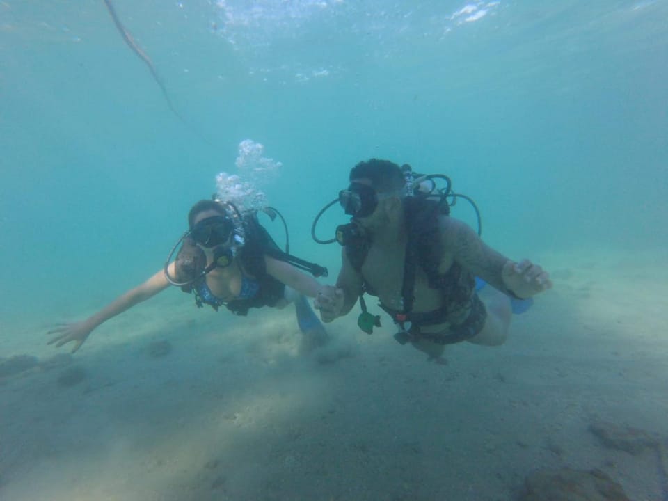 Diving, Diving