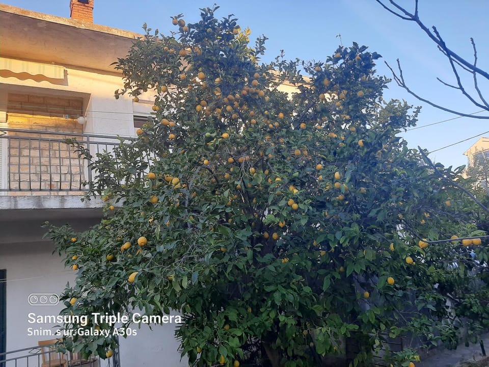 Šarko Apartment in Zadar