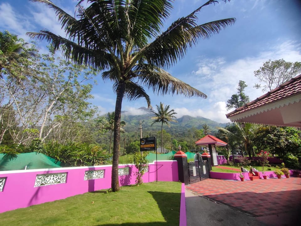 Garden, Mountain view