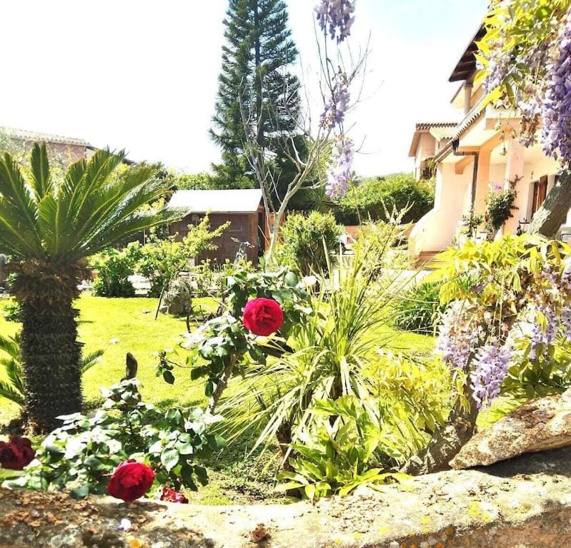 - CASA MAMMA MARISA - Apartment in Sardinia