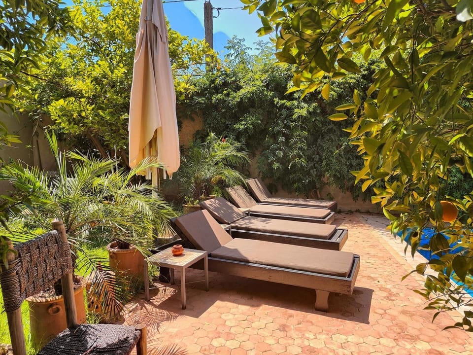 Garden, sunbed