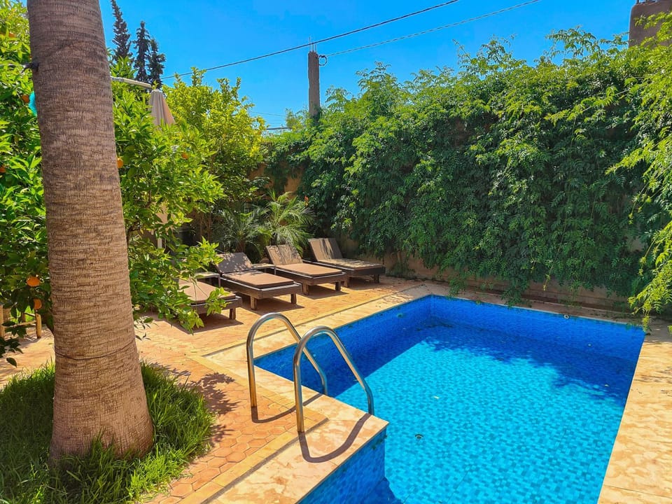 Garden, Garden view, Pool view, Swimming pool, sunbed