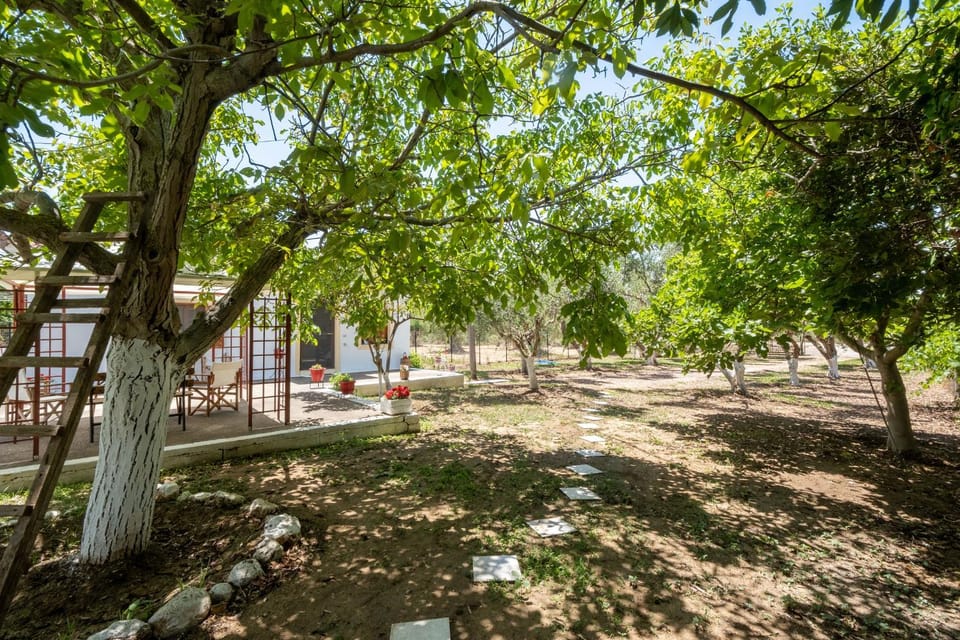 Inner courtyard view