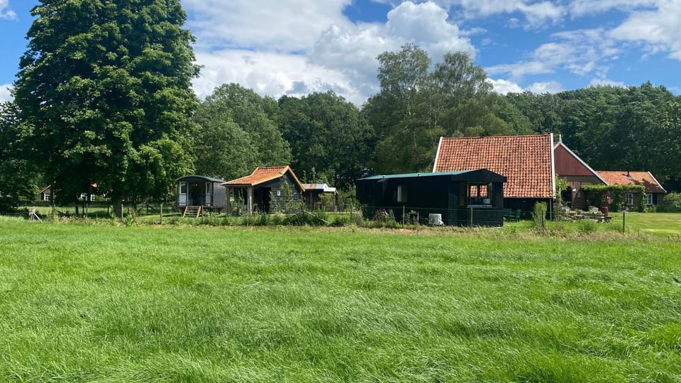 Tiny house, pipowagen onder de kastanje Apartment in Gelderland, Netherlands