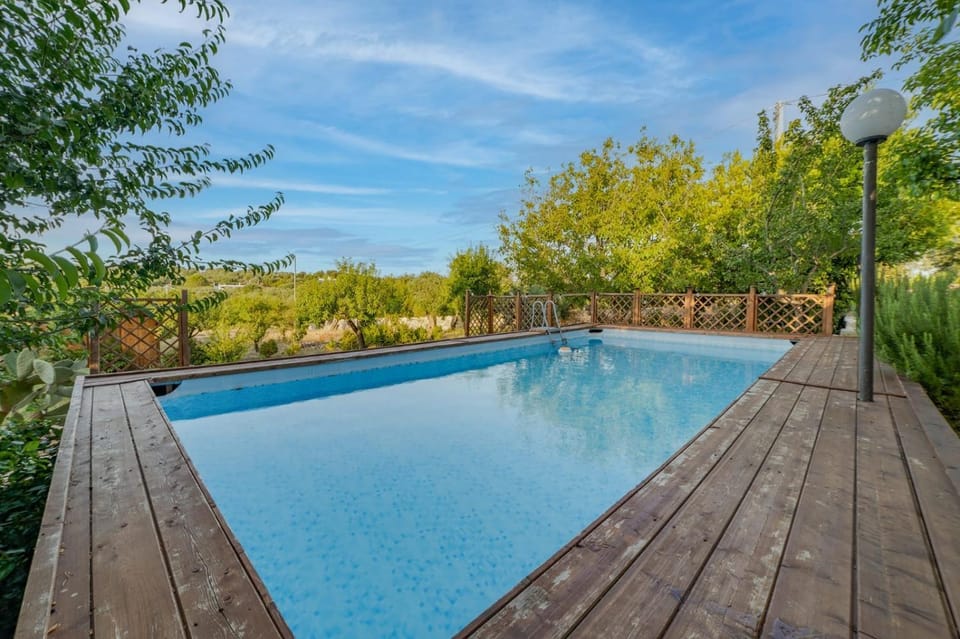 Garden, Pool view, Swimming pool